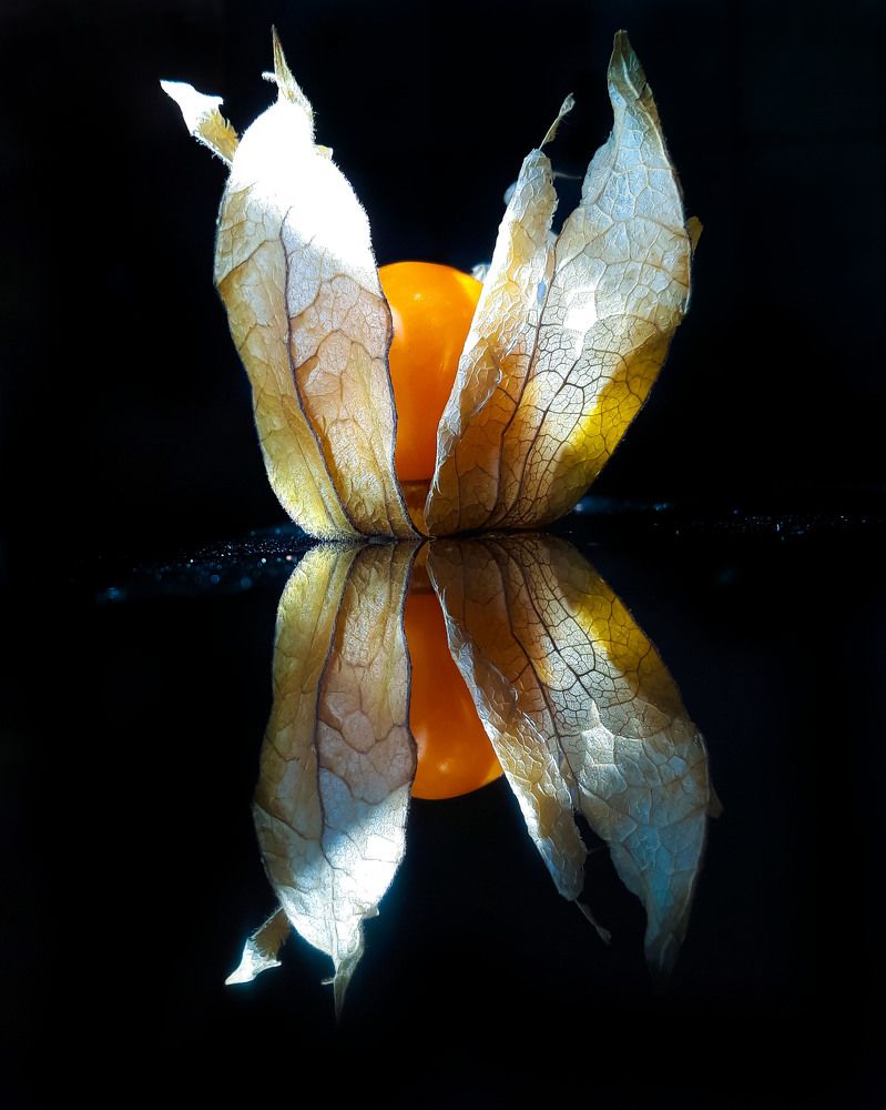 Photograph by Татьяна Андрусенко