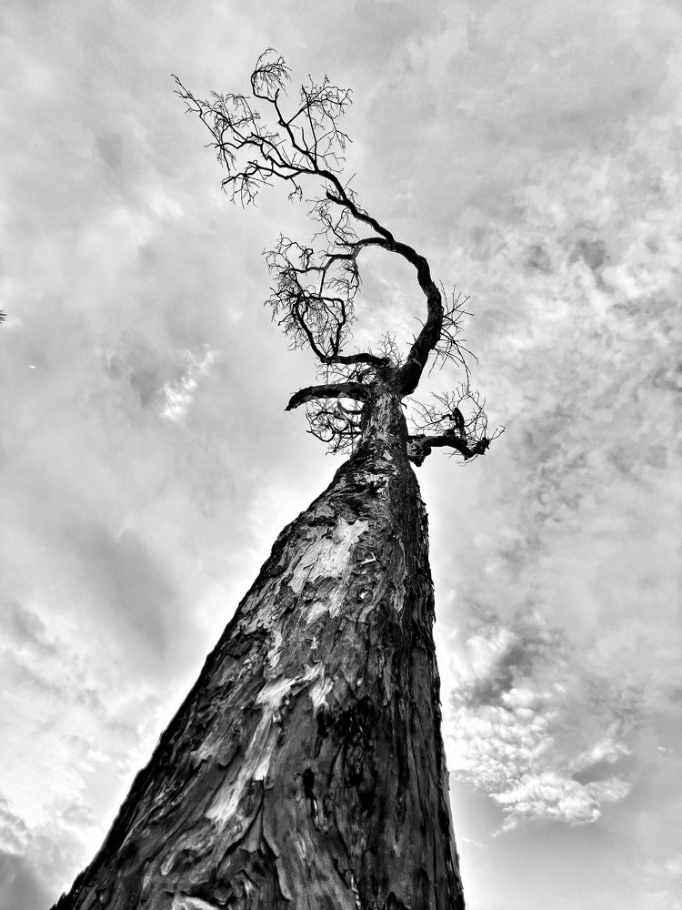 Photograph by Stephanie E’amato