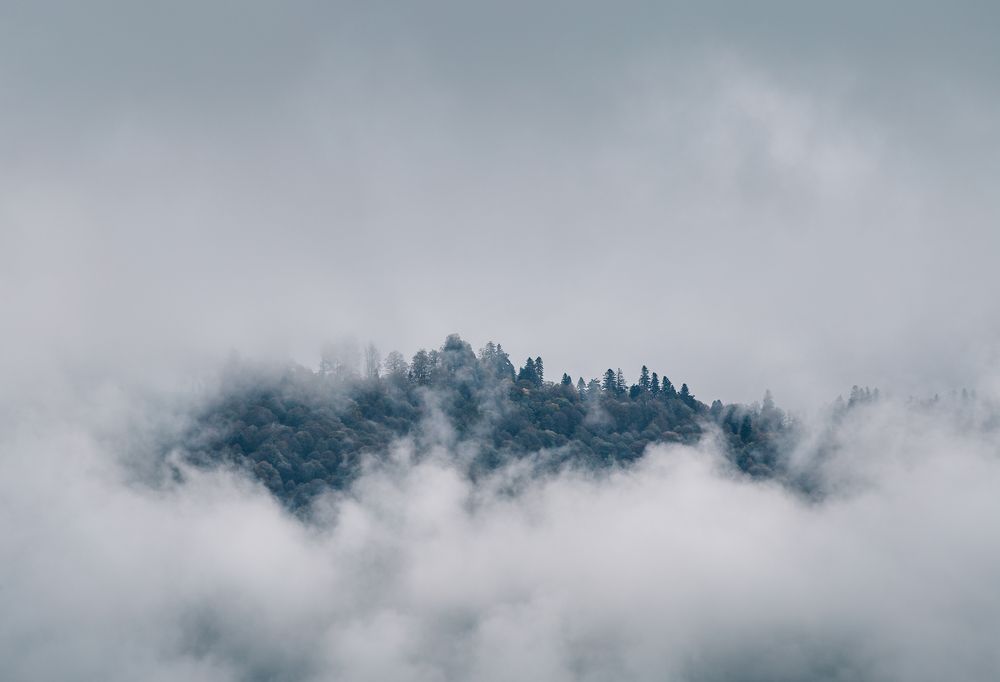 Photograph by Александр Смирнов