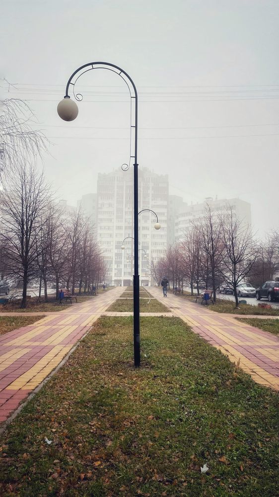 Мобильная фотография