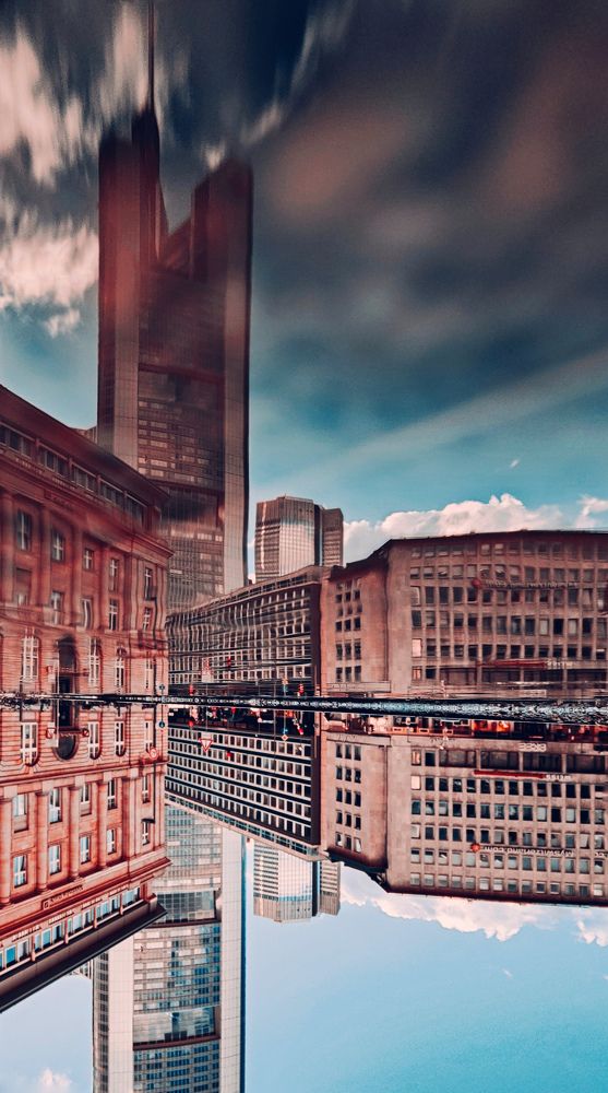 Фотография автора Laura Skwarek