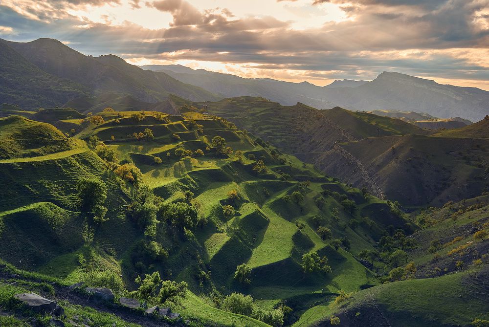 Земледельческие террасы Дагестана