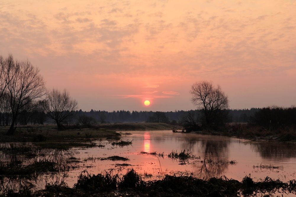 Фотография автора Ирина Солонина