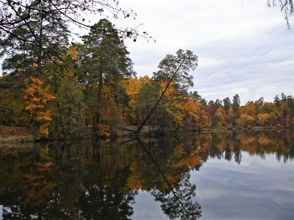 Photograph by Людмила