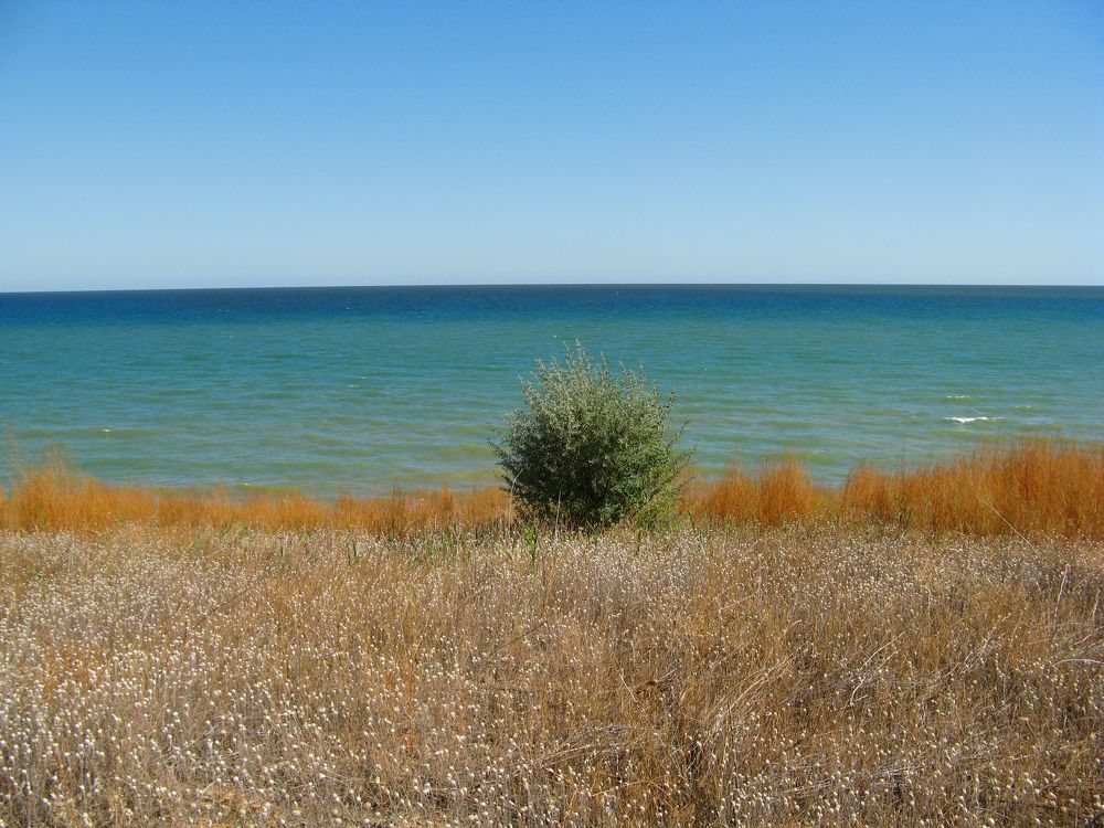 Photograph by Olha Teraz