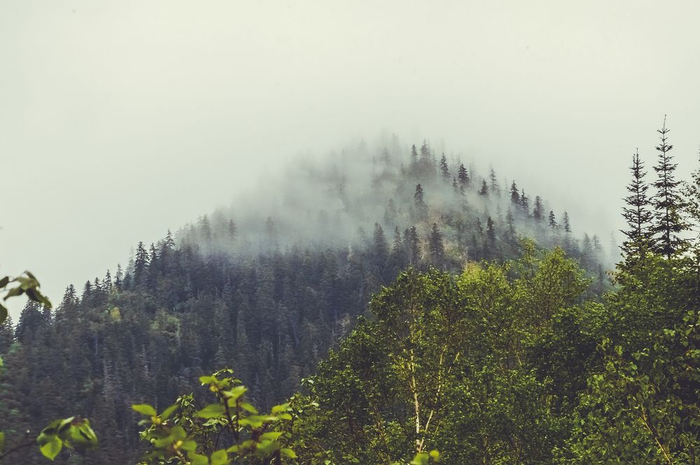 Photograph by Виктор Сёмушкин