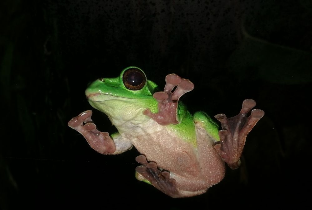 Photograph by Филиппов Олег