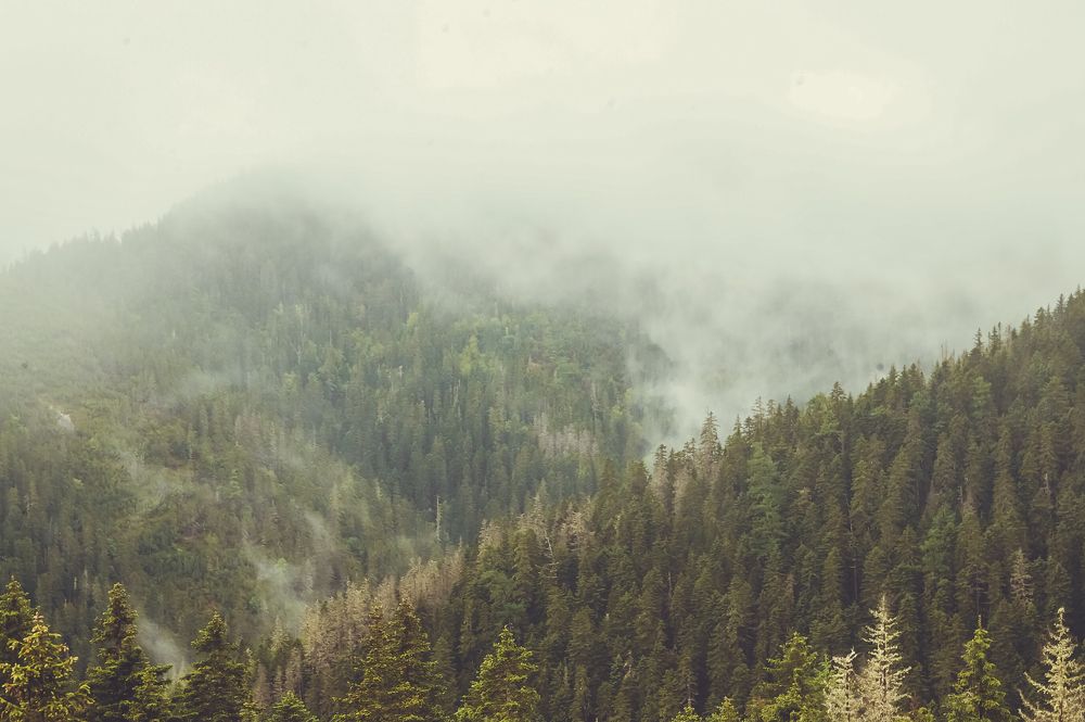 Photograph by Виктор Сёмушкин