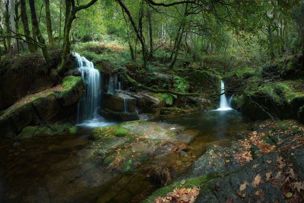 Photograph by raul fernandez