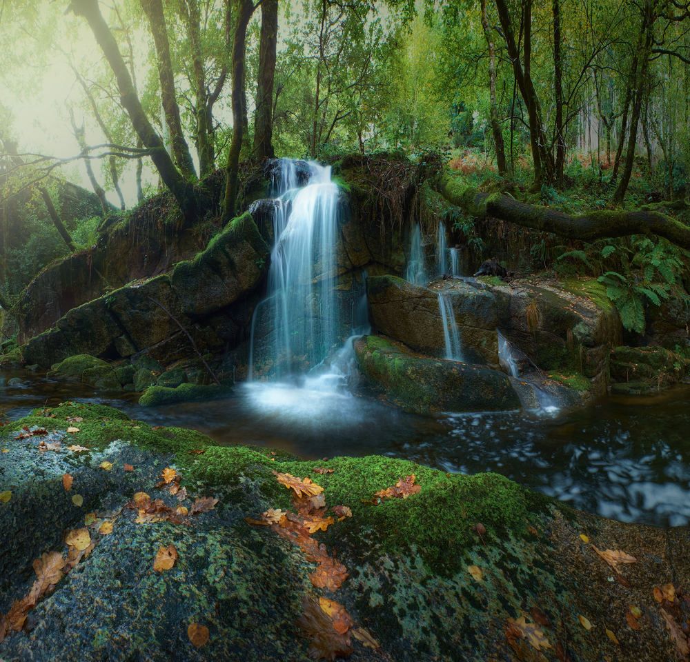 Photograph by raul fernandez