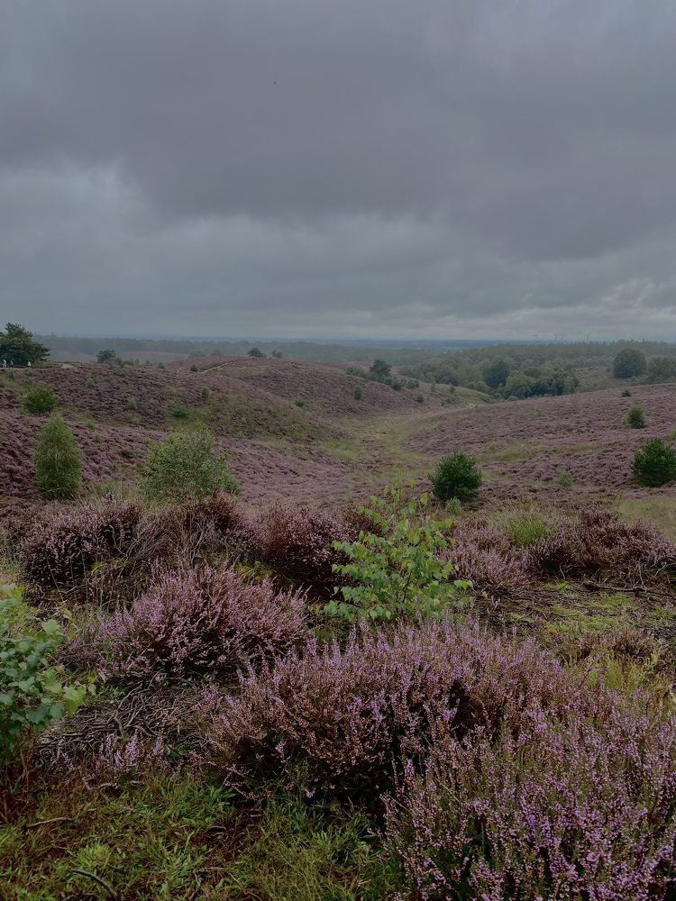 Photograph by Svetlana Kornilova