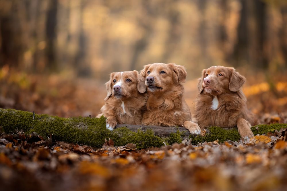 Photograph by Jakub Kudlovsky