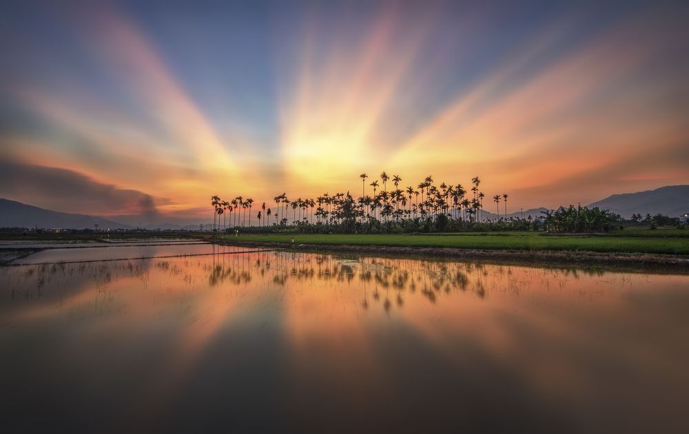 Photograph by Tran Khoa