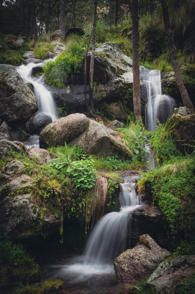 Photograph by Sosa Betsabé