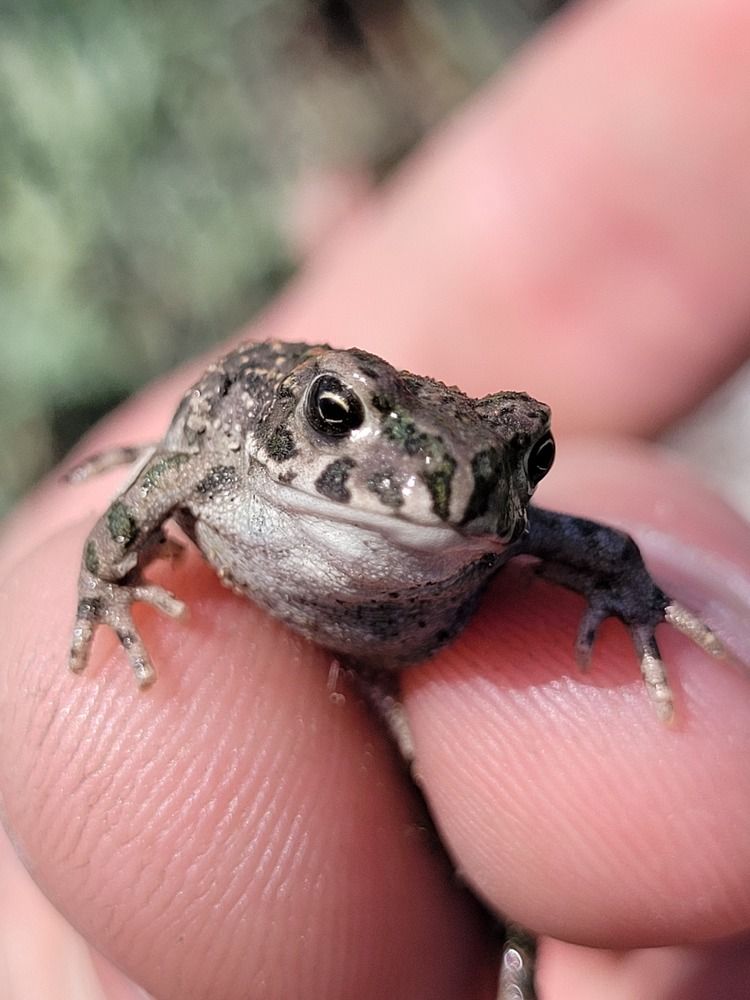 Photograph by Иван