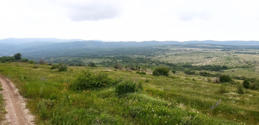 Photograph by Иван