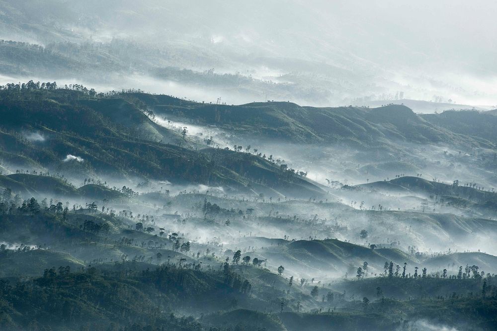 Photograph by Asela Nuwan