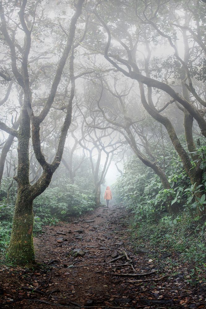 Photograph by Asela Nuwan