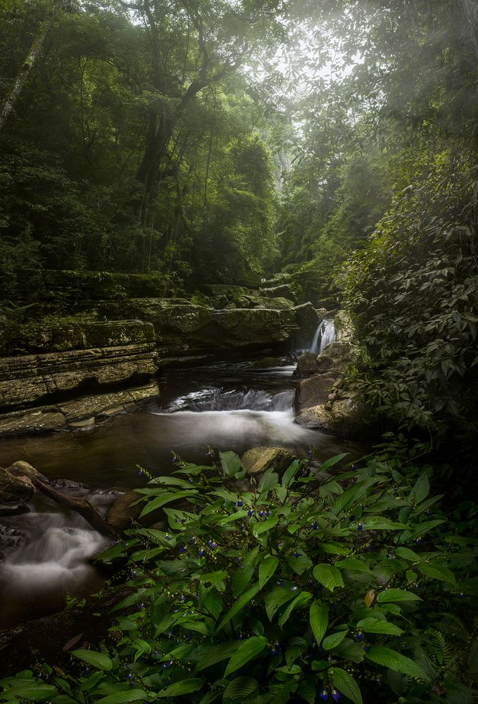 Photograph by Asela Nuwan