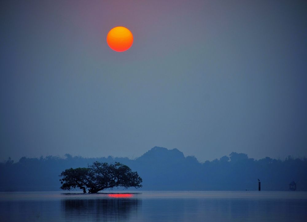 Photograph by Masum Mr