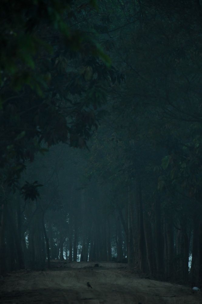 Photograph by Masum Mr