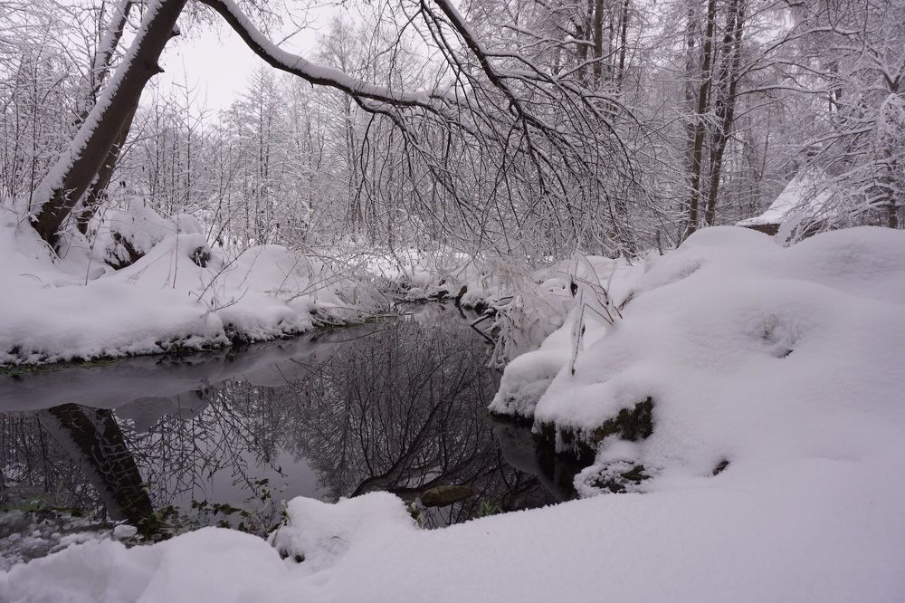 Photograph by Алфия Бугакова