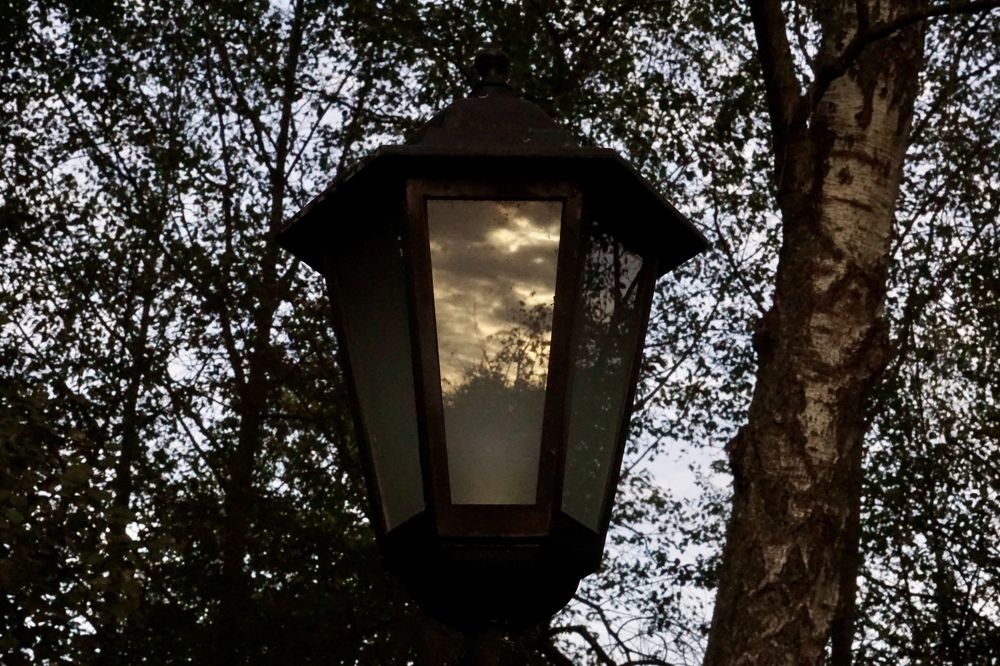 Photograph by Алфия Бугакова