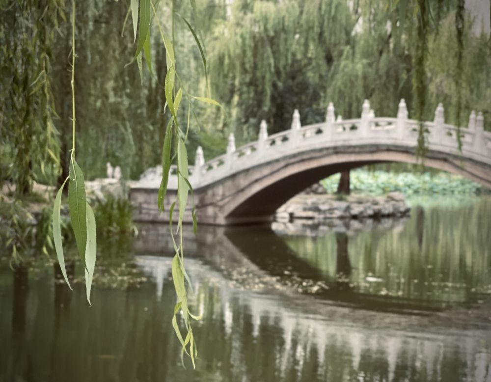 Photograph by Шевалье Татьяна