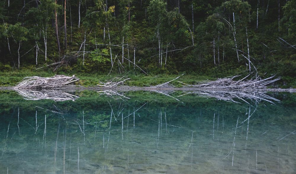 Photograph by Кристина Сотникова