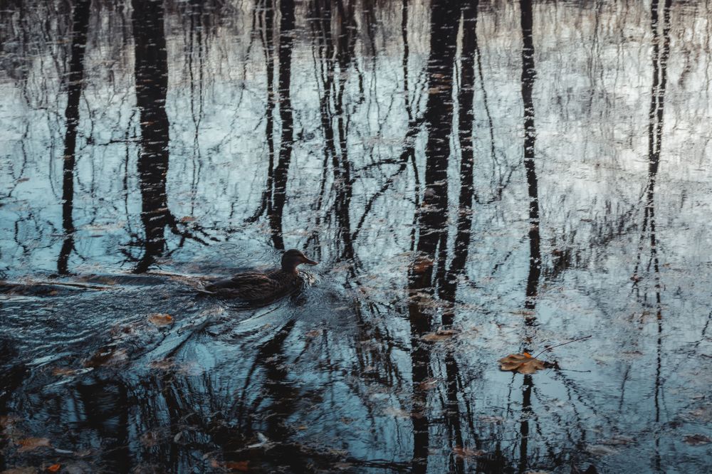 Photograph by Кристина Сотникова