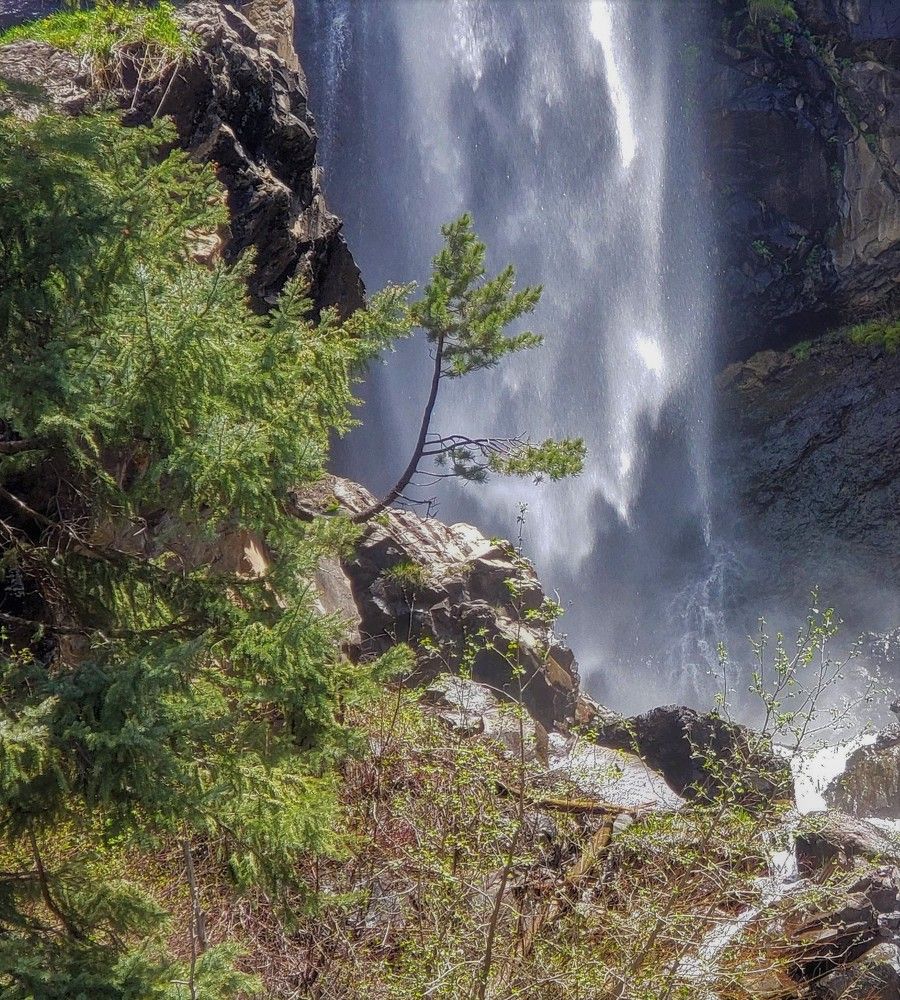 Photo #6862110