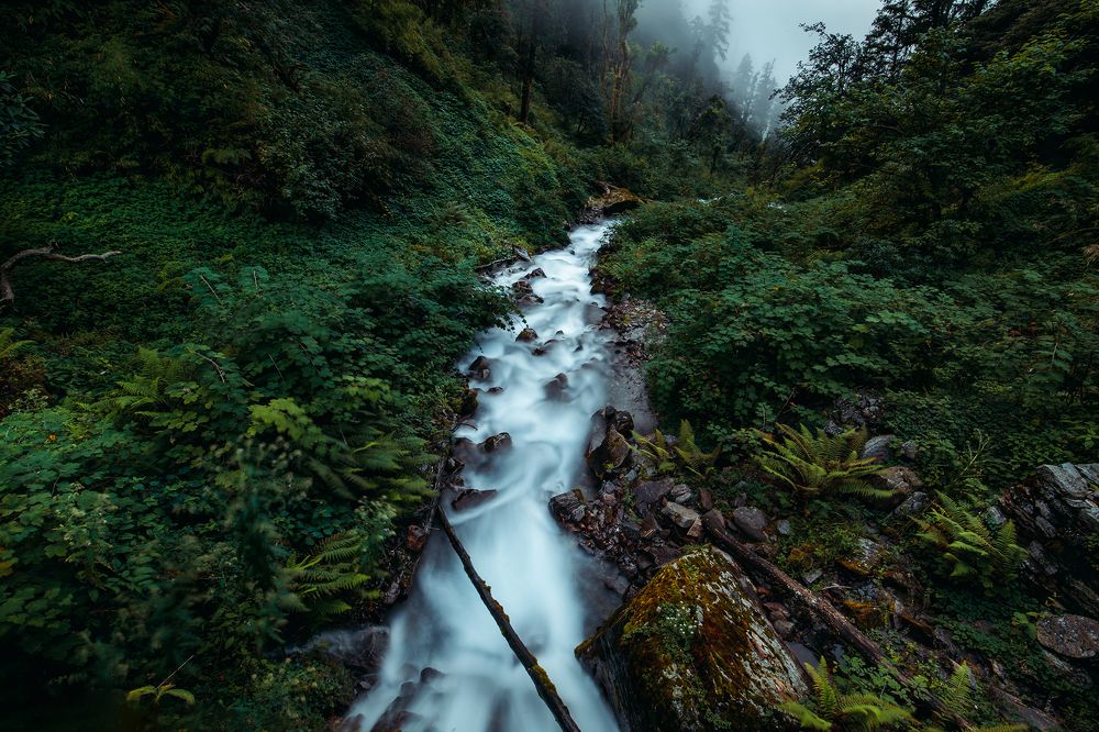 Photograph by Nikhil Mace