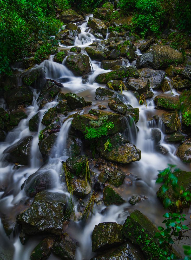 Photograph by Nikhil Mace