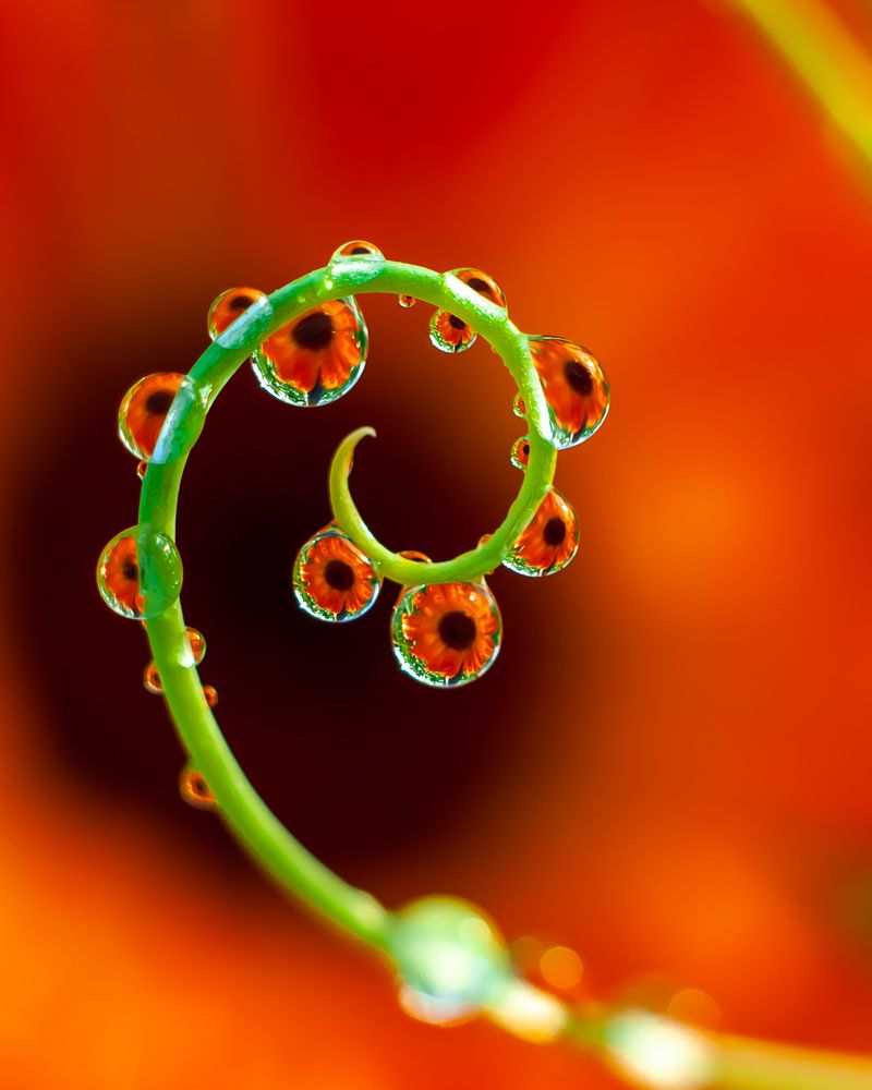 Photograph by Наталья