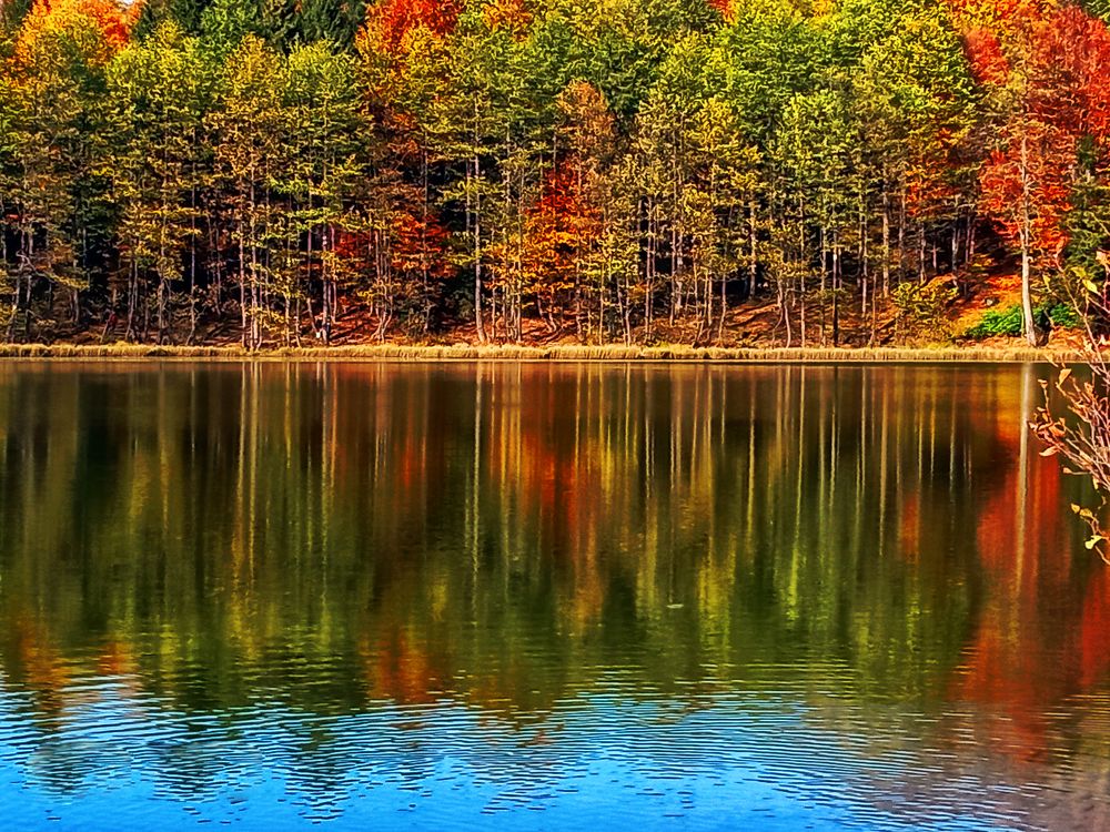 Photograph by Muzaffer Sütlüoğlu