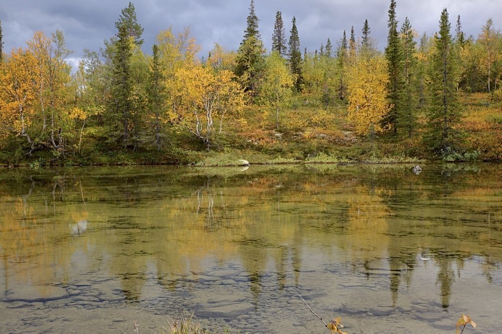 Photograph by Ольга Одаренко