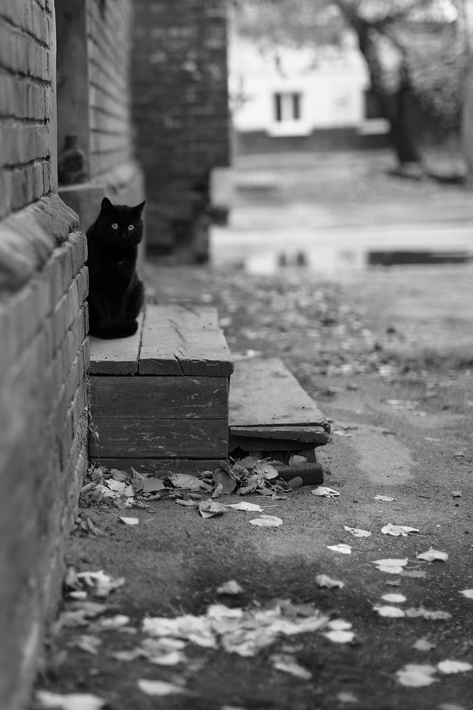 Photograph by Елена Романтовская