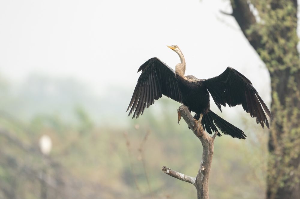 Фотография автора Khushjiv Sethi