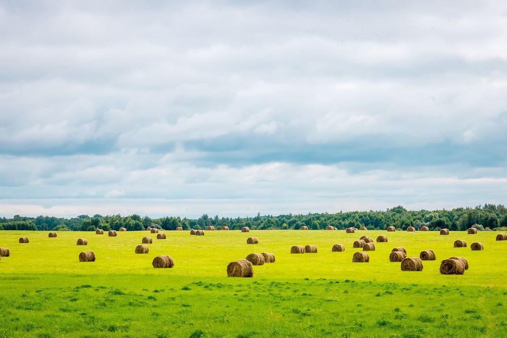 Photograph by Вячеслав Рудинский