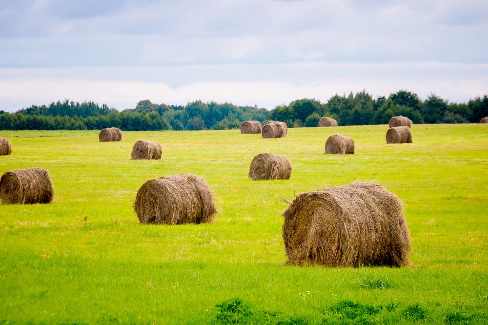 Photograph by Вячеслав Рудинский