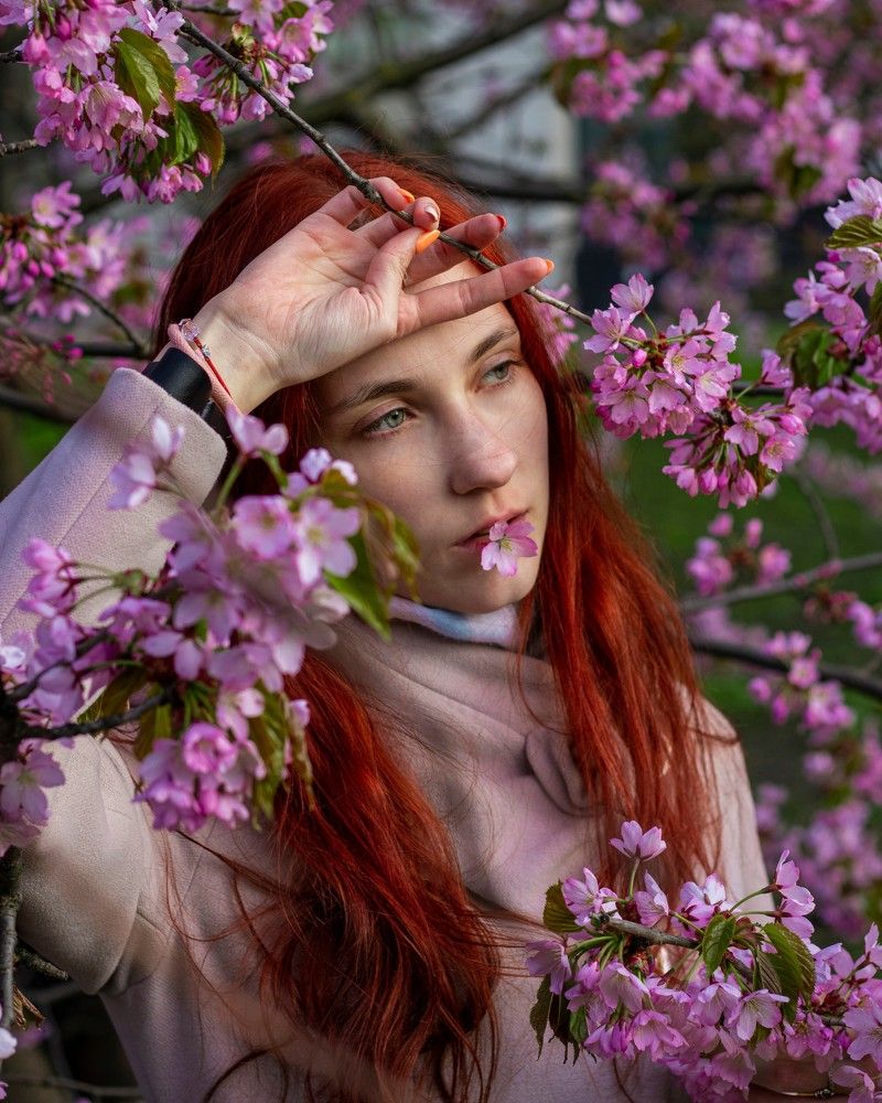 Photograph by Владислав Барышов