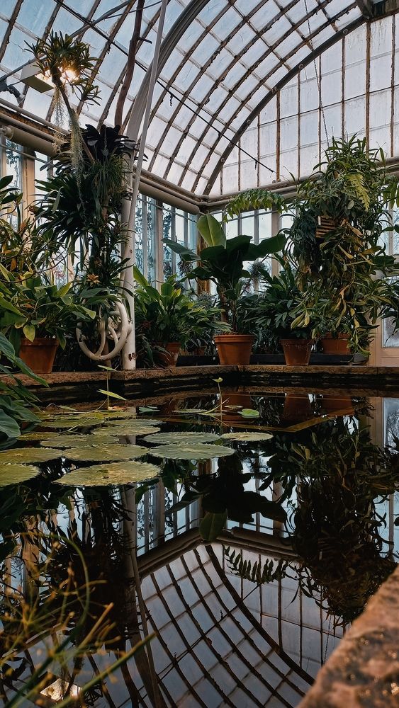 Фотография автора Inna Krekhovetska