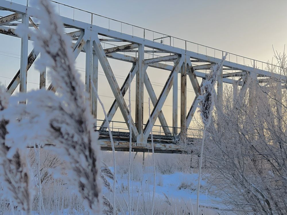 Photograph by Григорий Лыжин