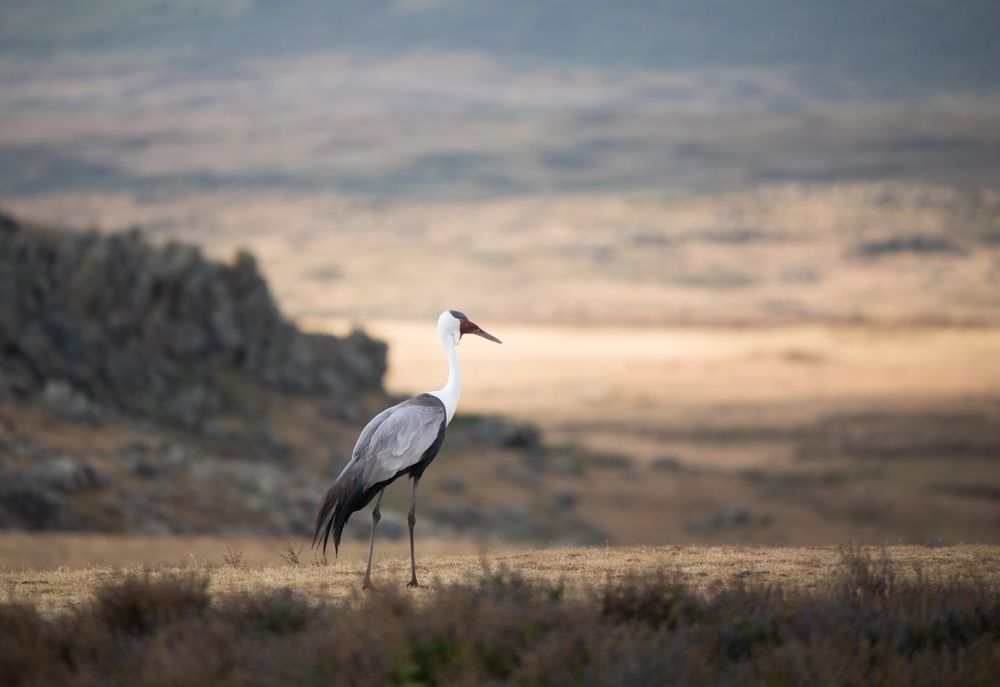 Photograph by Владимир Цветов