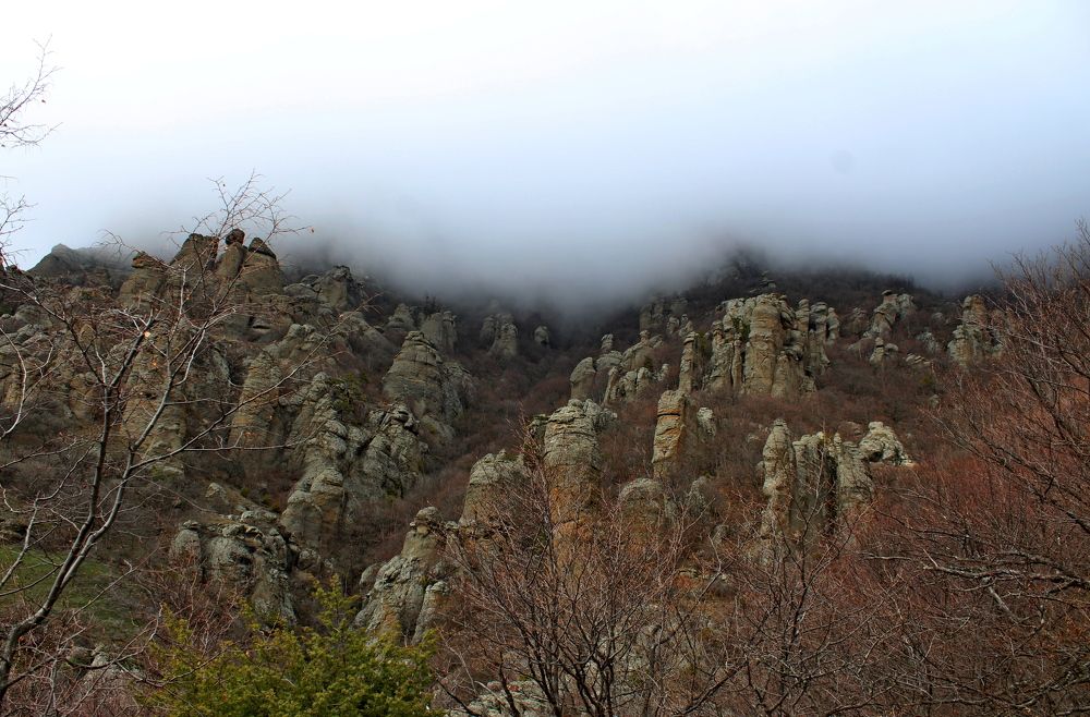 Photograph by Galina Tsmyg