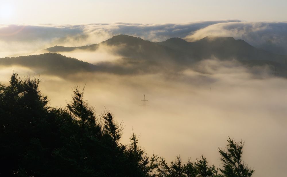 Photograph by Владимир Елькин