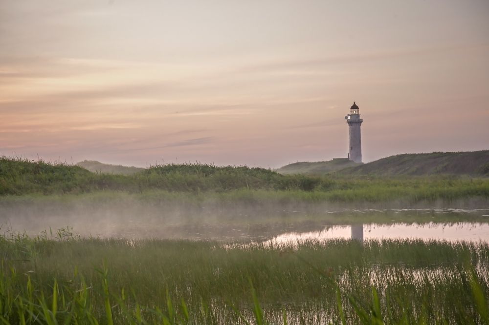 Photograph by Максим Тыщенко