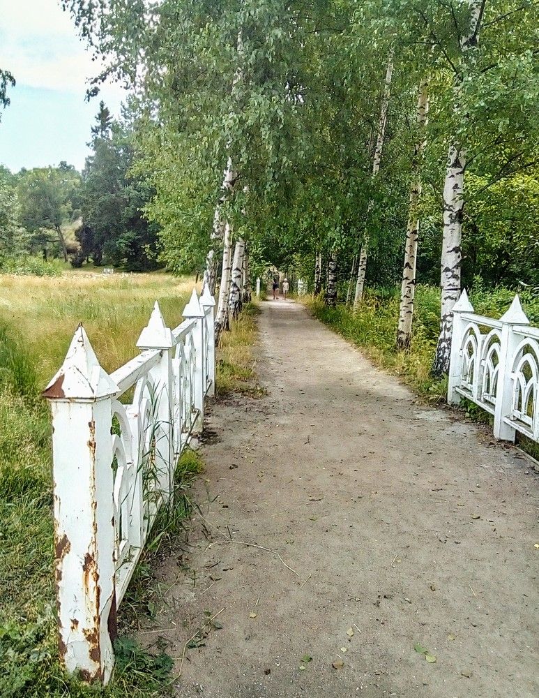 Photograph by Irina Mihailovskaya