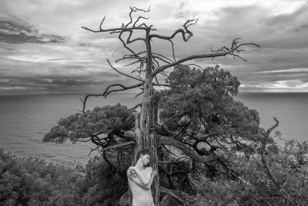 Photograph by Кассандра Мареева