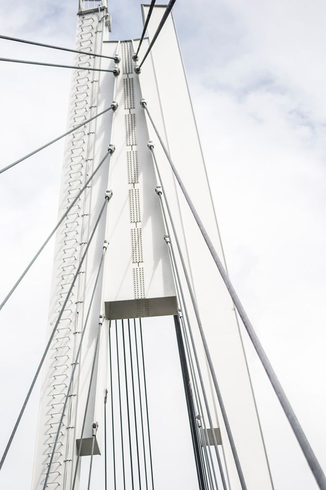 Фотография автора Ксения Петрова